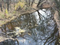 Осенний пейзаж.