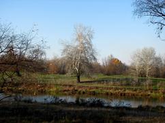 Осенний пейзаж