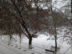 Первый снег