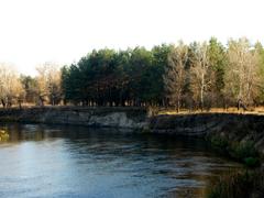 Пейзаж на фоне реки.