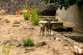 Мать и дитя