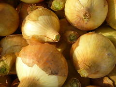 лук желто-оранжевый