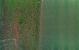 Из серии "Дуализм"