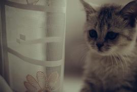 С добрым утром!