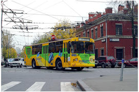 Лесная улица