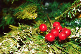 Ветка с ягодами