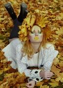 Осеннее солнце