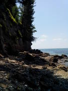 Берег за рыбзаводом