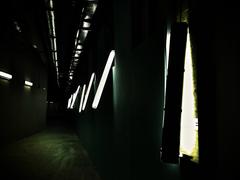 Светильники в stuffonly помещениях тц Вегас