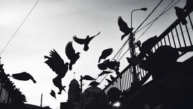 Processed with VSCOcam with f2 preset