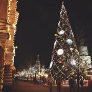 Processed with VSCOcam with t1 preset