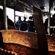 Солнечный свет