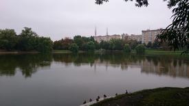 Новодевичий пруд