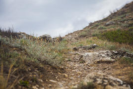 Тропинка на плато