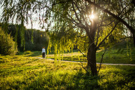 Митинский парк