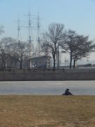 На берегу Невы