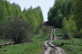 Эх, дороги...