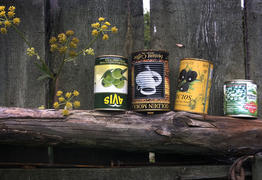 Опрокинутые