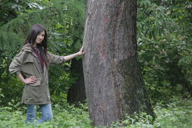 300-летняя лиственница. Девушка позирует у ствола дерева 