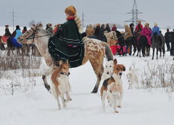 Реконструкция конной охоты с тремя борзыми и одной гончей в клубе Аванпост. фйото Сергей Шахиджанян 