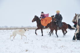 Реконструкция конной охоты с тремя борзыми и одной гончей в клубе Аванпост. фйото Сергей Шахиджанян 