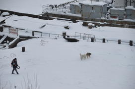 ¬иды на реку ќбь и порт. ямало-ненецкий  автономный округ. √ород —алехард, поселок Ћабытнанги. фото 