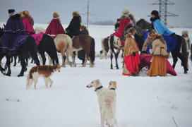 Реконструкция конной охоты с тремя борзыми и одной гончей в клубе Аванпост. фйото Сергей Шахиджанян 