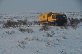 Ямало-ненецкий  автономный округ. Город Салехард, поселок Лабытнанги. фото Сергей Шахиджанян. 