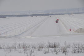 Ледяная переправа. Река Обь. Ямало-ненецкий  автономный округ. Город Салехард, поселок Лабытнанги. ф