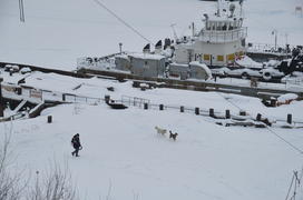 ¬иды на реку ќбь и порт. ямало-ненецкий  автономный округ. √ород —алехард, поселок Ћабытнанги. фото 