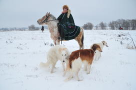 Реконструкция конной охоты с тремя борзыми и одной гончей в клубе Аванпост. фйото Сергей Шахиджанян 