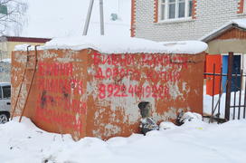 Город Салехард Объявление Куплю бивни мамонта дорого Ямало-ненецкий  автономный округ. Город Салехар