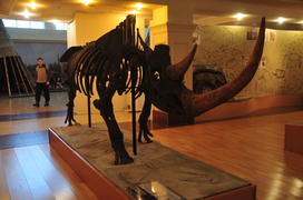 Краеведческий музей. Салехард. Ямало-ненецкий  автономный округ. Город Салехард, поселок Лабытнанги.