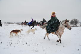 Реконструкция конной охоты с тремя борзыми и одной гончей в клубе Аванпост. фйото Сергей Шахиджанян 