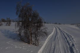 Тундра. Остатки цементного завода бывшей колонии. Ямало-ненецкий  автономный округ. Город Салехард, 