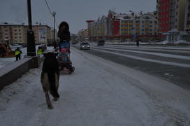 Город Салехард Ямало-ненецкий  автономный округ. Город Салехард, поселок Лабытнанги. фото Сергей Шах