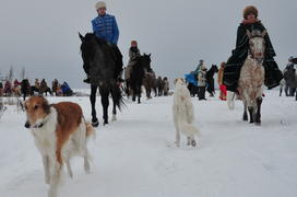 Реконструкция конной охоты с тремя борзыми и одной гончей в клубе Аванпост. фйото Сергей Шахиджанян 
