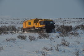 Ямало-ненецкий  автономный округ. Город Салехард, поселок Лабытнанги. фото Сергей Шахиджанян. 