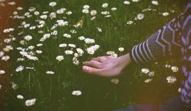 тактильность