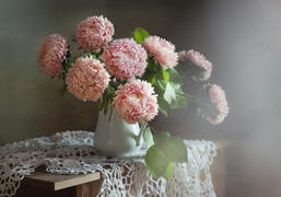 С зефирными астрами... и дымкой