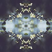 Коллаж, текстура