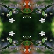 Коллаж, текстура