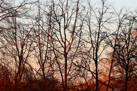 День проходит