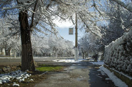 Улица Разведская