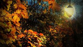 Осенний пейзаж