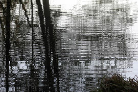 Пейзаж - отражение