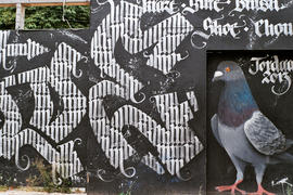 Граффити "Голубь"