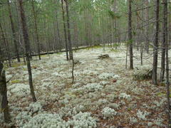 Как в сказке