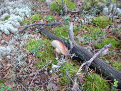 Вот это характер!