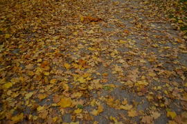 Изображение 345